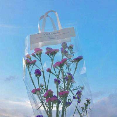 足球北单官方网站