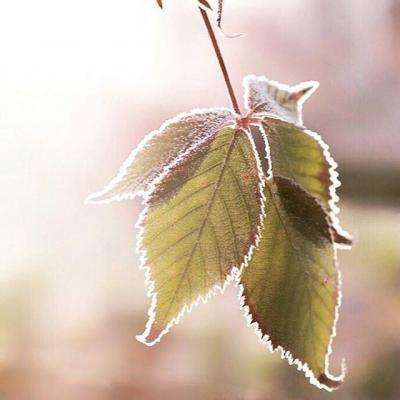 彩神8官网手机app下载